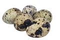 Isolated quail eggs. Big collection of quail eggs isolated on a white background Royalty Free Stock Photo