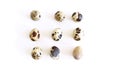 Isolated quail eggs. Big collection of quail eggs isolated on white background with clipping path. Royalty Free Stock Photo