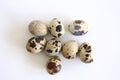 Isolated quail eggs. Big collection of quail eggs isolated on white background with clipping path. Royalty Free Stock Photo