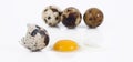 Isolated quail eggs in white background Royalty Free Stock Photo