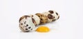 Isolated quail eggs in white background