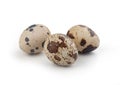 Isolated quail eggs