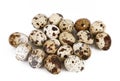 Isolated quail eggs in white background