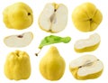 Isolated quince collection