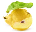 Isolated quince