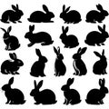 Isolated rabbit on white background, set of different rabbit silhouettes Royalty Free Stock Photo