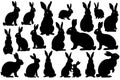 Isolated rabbit on white background, set of different rabbit silhouettes Royalty Free Stock Photo