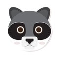 Isolated racoon face Royalty Free Stock Photo