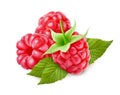 Isolated raspberries on white Royalty Free Stock Photo