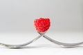 Isolated raspberry on two crossing forks on a white background. copy space for text Royalty Free Stock Photo