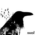 Isolated raven head silhouettes with double exposure effect.