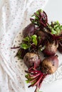 Isolated raw beet root on white background Royalty Free Stock Photo