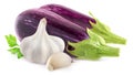 Isolated raw eggplants and garlic Royalty Free Stock Photo