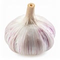 Isolated Raw Garlic Bulb with White and Purple Hues on White Background Royalty Free Stock Photo