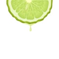 Isolated realistic colored half circle slice of green color juicy bergamot with drop of juice or oil on white background.