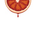 Isolated realistic colored half circle slice of red color juicy bloody orange with drop of juice on white background. Royalty Free Stock Photo