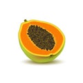 Isolated realistic colored half slice of juicy orange papaya, pawpaw, paw paw with seeds with shadow on white background.