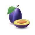 Isolated realistic colored whole juicy purple plum with stick and leaf and half plum with pit with shadow on white background. Sid