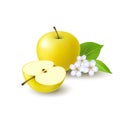 Isolated realistic colored yellow half apple and whole juicy fruit with white flower, green leaves and shadow on white background. Royalty Free Stock Photo