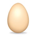 Isolated realistic illustration of an egg, on white background