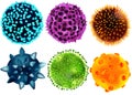 Isolated realistic vector set of viruses and bacteria. Viruses and bacteria under the microscope. A non-cellular
