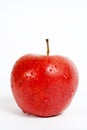 Isolated red apple Royalty Free Stock Photo