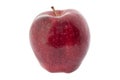 Isolated red apple Royalty Free Stock Photo