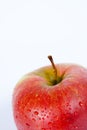 Isolated red apple macro Royalty Free Stock Photo