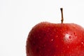 Isolated red apple macro Royalty Free Stock Photo