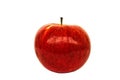 The isolated red apple on a white background Royalty Free Stock Photo
