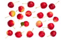 Isolated red apples Royalty Free Stock Photo