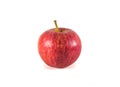 Isolated red beautiful single apple on white background Royalty Free Stock Photo