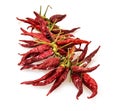 Isolated red dry chillies Royalty Free Stock Photo