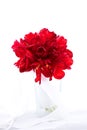 Isolated red fresh flower wedding bouquet in the vase on white b Royalty Free Stock Photo