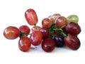 Isolated Red Grapes