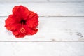 Isolated red hibiscus flower on white wooden background. top view Royalty Free Stock Photo