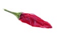 Isolated red hot chili pepper Royalty Free Stock Photo