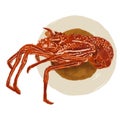 isolated red lobster with brown sauce on white dish illustration, seafood menu digital painted