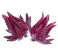 Isolated red roselle fruit. Fresh roselle fruit on white t background. Jamaica sorrel,  or hibiscus sabdariffa clipping path Royalty Free Stock Photo