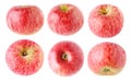 Isolated red striped apple fruits at different angles