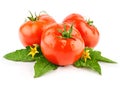 Isolated red tomato vegetable with green leaf
