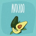 Isolated ripe avocado fruits whole and cut