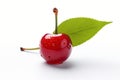 An isolated ripe sweet cherry with leaf on a white background. Royalty Free Stock Photo