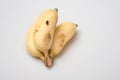 Isolated ripe cultivated banana on white background