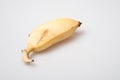 Isolated ripe cultivated banana on white background Royalty Free Stock Photo