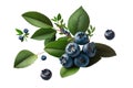 Isolated Ripe And Delicious Organic Blueberries Decorated With Fresh Leaves - Generative AI