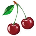 Isolated ripe fresh cherry two berries