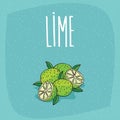 Isolated ripe lime fruits whole and cut Royalty Free Stock Photo