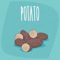 Isolated ripe russet potato tubers whole and cut