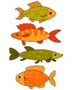 Isolated river fish. Set of freshwater aquarium cartoon fishes. varieties of ornamental popular color fish. Flat design Royalty Free Stock Photo